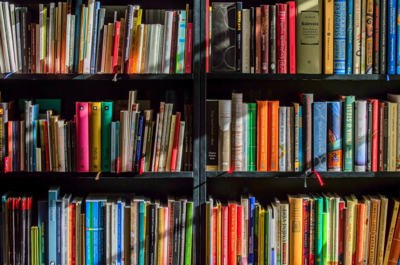 vente-ST VALLIER DE THIEY-min_books_bookstore_book_reading_shop_writer_sale_books_read-822866